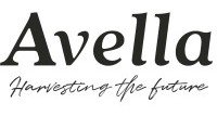 AVELLA FINDIK